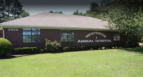 Vets in texarkana - The veterinarian was very nice to me and Stormy and sympathetic to Stormy's condition. — Debra Callison. Marshall Carrier SDTS 2020-01-09T11:07:18-05:00 Mission Vet Hospital is second to none. It’s a reflection of the staff, the professionalism displayed and the vision Dr. Heflin had when he took over Mission Veterinary Hospital